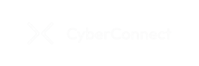 Cyber Connect